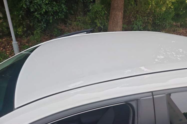 Used Toyota Corolla 2022 TNGA 1.5L CVT Pioneer Edition Roof