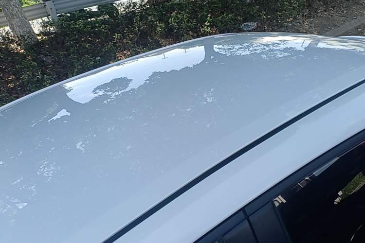 Used Toyota Corolla 2022 1.2T S-CVT Pioneer PLUS Edition Roof
