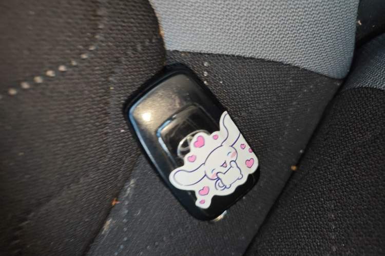 Used Toyota Corolla 2022 1.2T S-CVT Pioneer PLUS Edition Vehicle Key