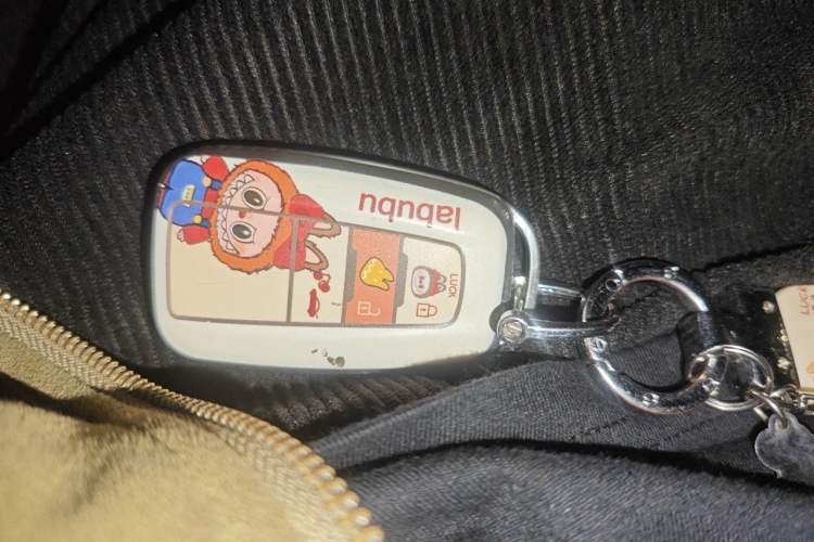 Used Toyota Corolla 2022 Dual-Motor 1.8L E-CVT Pioneer Edition Vehicle Key