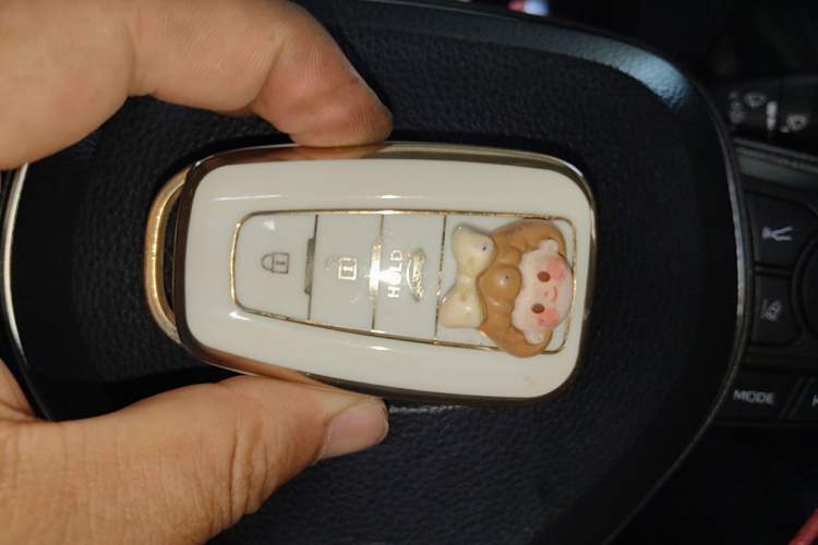 Used Toyota Corolla 2022 1.2T S-CVT Pioneer PLUS Edition Vehicle Key