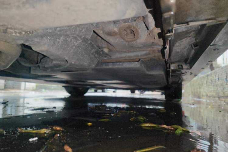 Used Toyota Corolla 2023 1.8L Smart Electric Hybrid Dual-Motor Elite Edition Chassis Rear Right