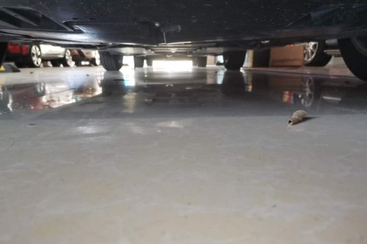 Used Toyota Corolla 2023 1.2T Pioneer Edition Chassis Front