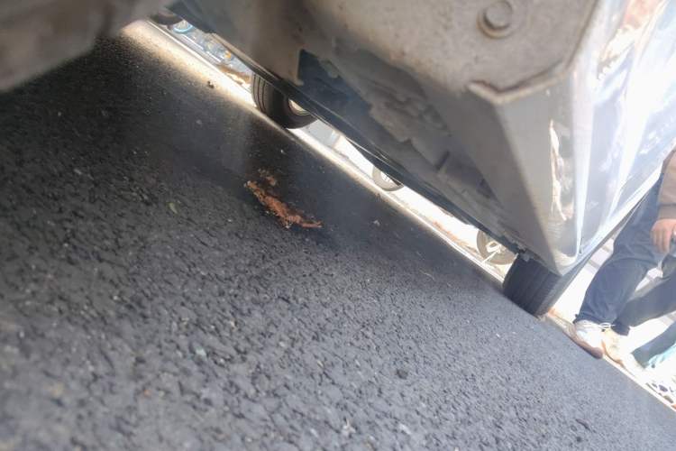Used Toyota Corolla 2023 1.8L Smart Electric Hybrid Dual-Motor Pioneer Edition Chassis Front Left