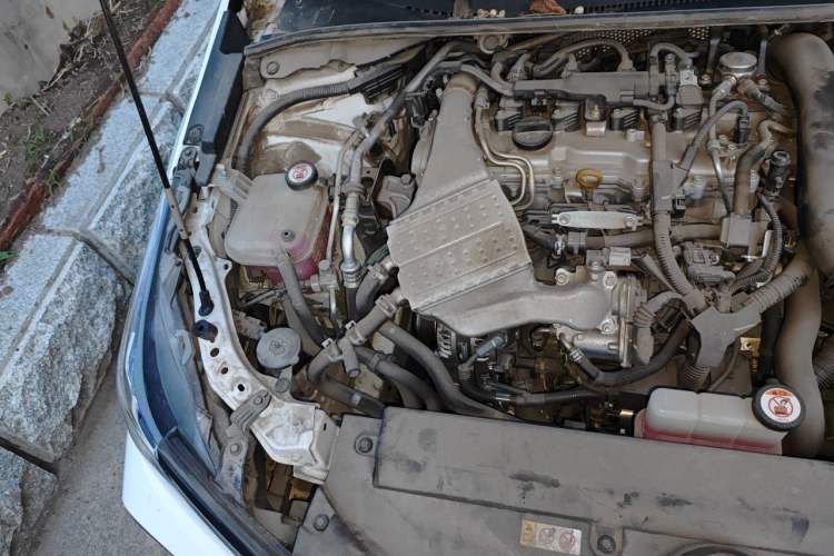 Used Toyota Corolla 2023 1.2T Elite Edition Engine Bay Right