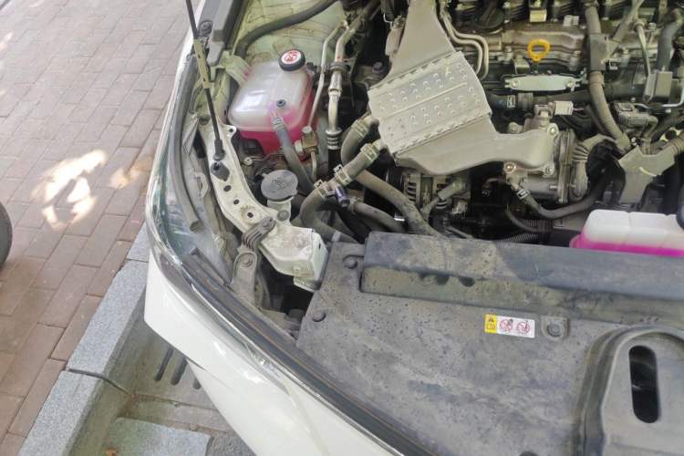 Used Toyota Corolla 2023 1.2T Elite Edition Engine Bay Right