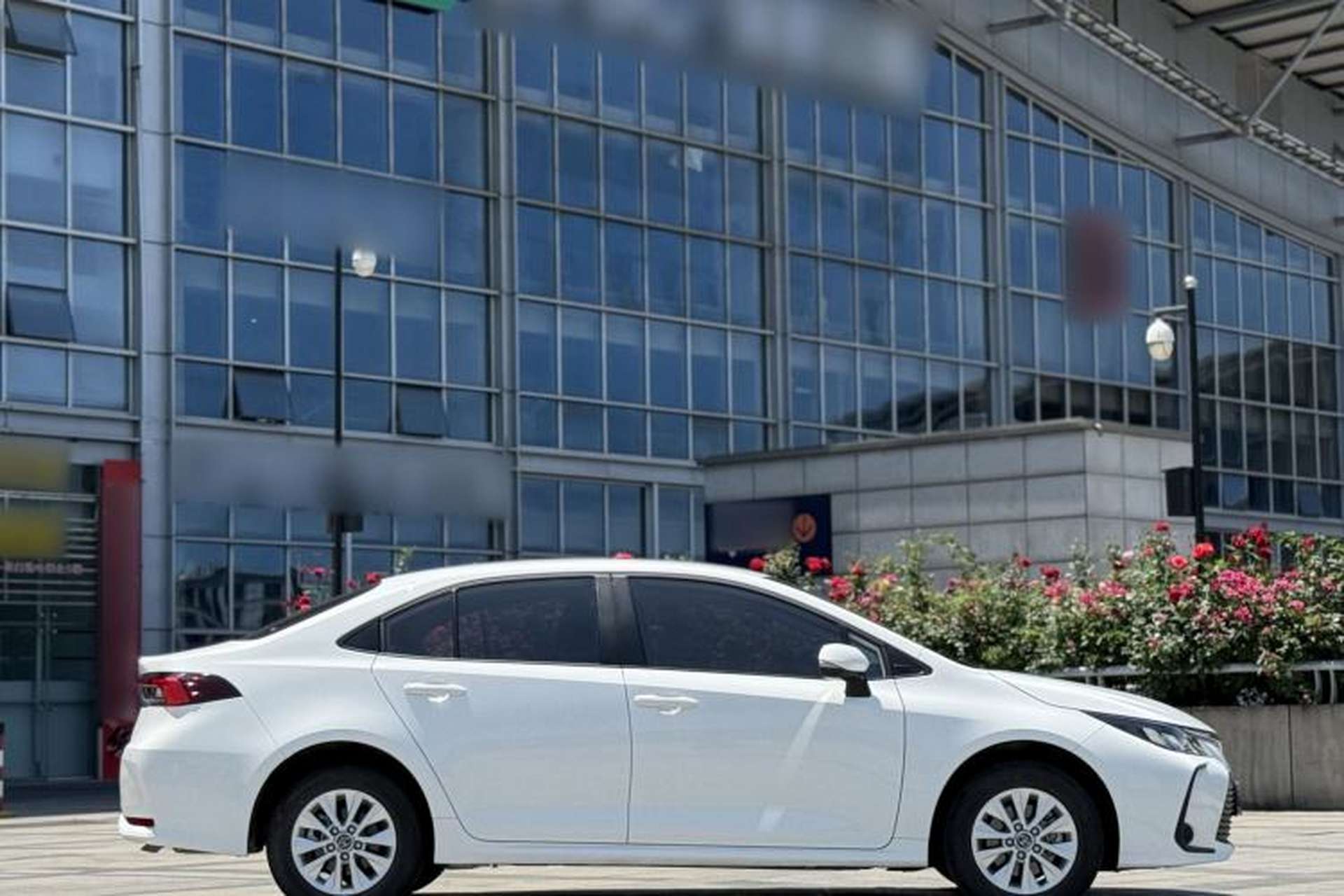 Used Toyota Corolla 2023 1.2T Pioneer Edition Exterior 5