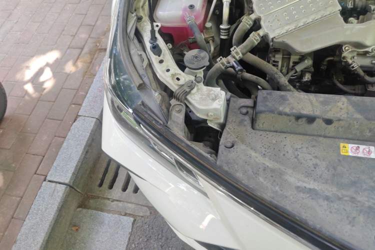Used Toyota Corolla 2023 1.2T Elite Edition Right Front Headlight