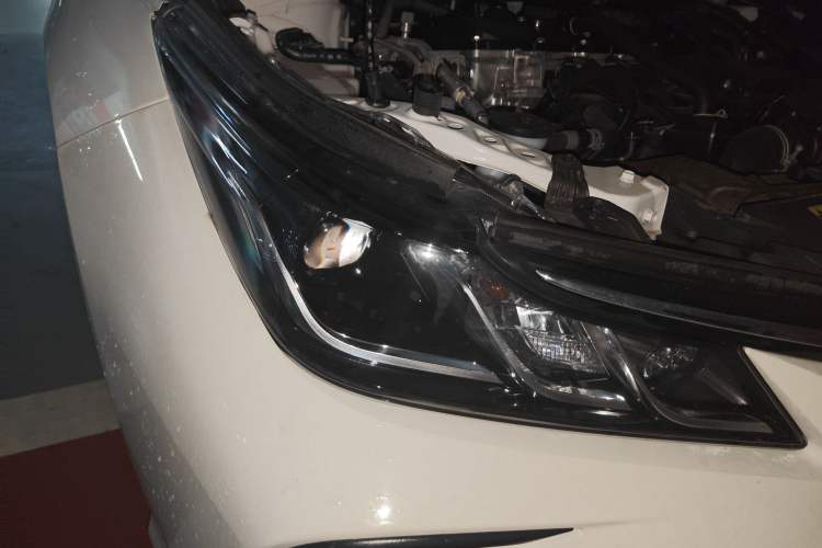 Used Toyota Corolla 2024 1.8L Smart Electric Hybrid Dual-Engine Pioneer Edition Right Front Headlight