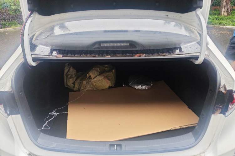 Used Toyota Corolla 2024 1.2T Pioneer Edition Trunk