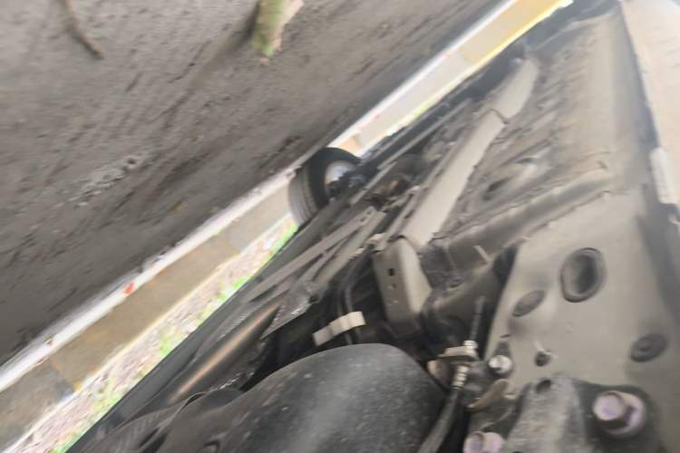 Used Toyota Corolla Cross 2022 2.0L Pioneer Edition Chassis Rear Left
