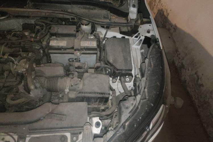 Used Toyota Corolla Cross 2022 2.0L Elite Edition Engine Bay Left