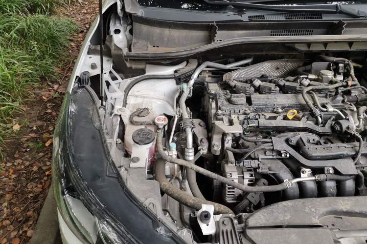 Used Toyota Corolla Cross 2022 2.0L Elite Edition Engine Bay Right