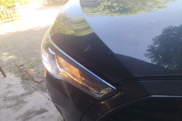 Used Toyota Corolla Cross 2023 2.0L Elite Edition Right Front Headlight