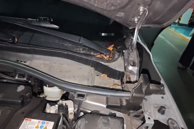 Used Toyota Corolla Cross 2023 2.0L Pioneer Edition Engine Bay Left