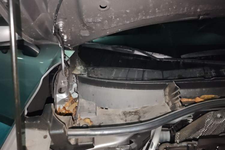 Used Toyota Corolla Cross 2023 2.0L Pioneer Edition Engine Bay Right