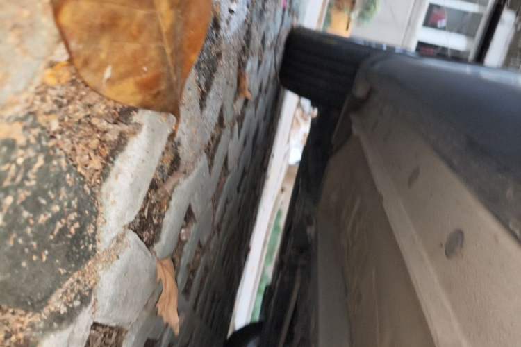 Used Toyota Corolla Cross 2023 2.0L Elite Edition Chassis Front Left