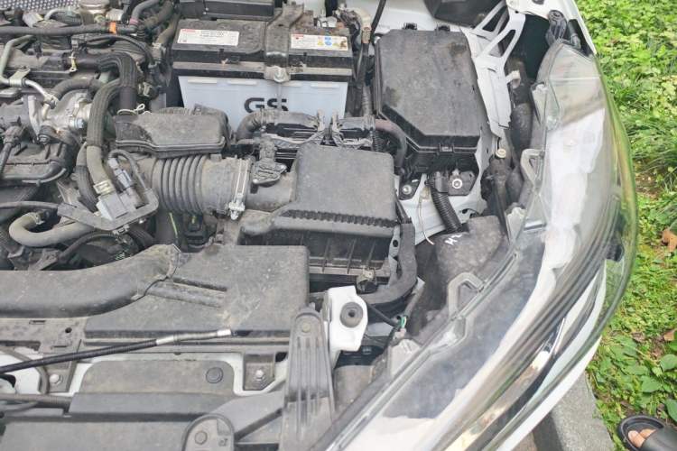 Used Toyota Corolla Cross 2023 2.0L Elite Edition Engine Bay Left