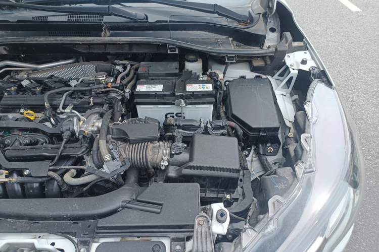 Used Toyota Corolla Cross 2023 2.0L Elite Edition Engine Bay Left
