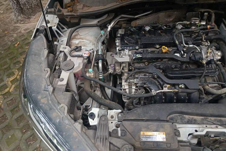 Used Toyota Corolla Cross 2023 2.0L Elite Edition Engine Bay Right