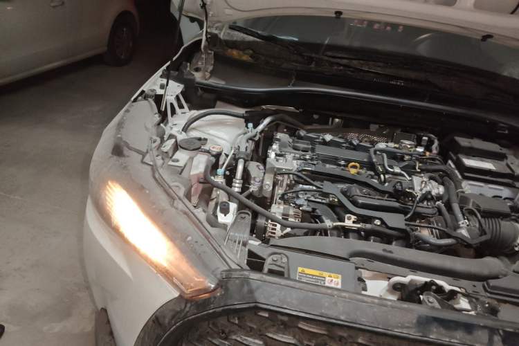 Used Toyota Corolla Cross 2023 2.0L Elite Edition Engine Bay Right
