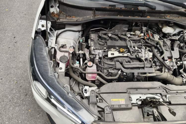 Used Toyota Corolla Cross 2023 Dual-Motor 2.0L Pioneer Edition Engine Bay Right