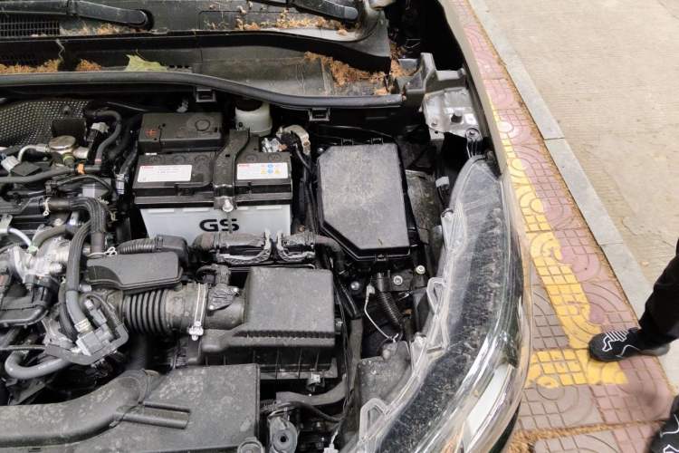 Used Toyota Corolla Cross 2024 2.0L Elite Edition Engine Bay Left