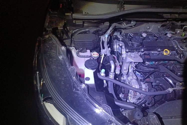 Used Toyota Corolla Cross 2024 2.0L Pioneer Edition Engine Bay Right