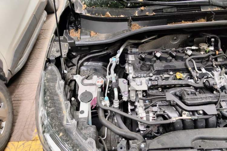 Used Toyota Corolla Cross 2024 2.0L Elite Edition Engine Bay Right