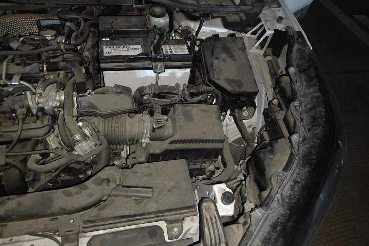 Used Toyota Corolla Cross 2024 2.0L Elite Edition Engine Bay Left