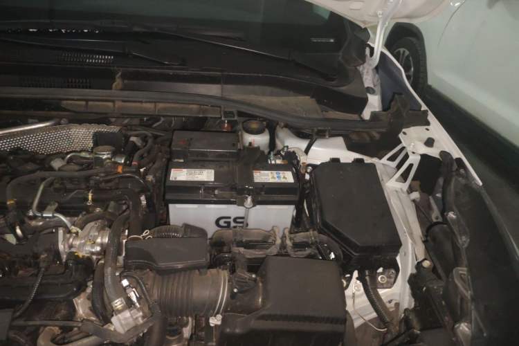 Used Toyota Corolla Cross 2024 2.0L Pioneer Edition Engine Bay Left