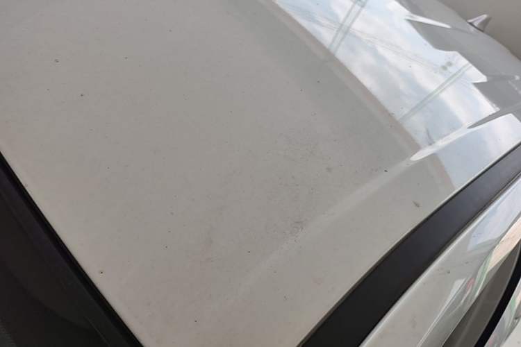 Used Toyota Corolla Cross 2024 2.0L Pioneer Edition Roof
