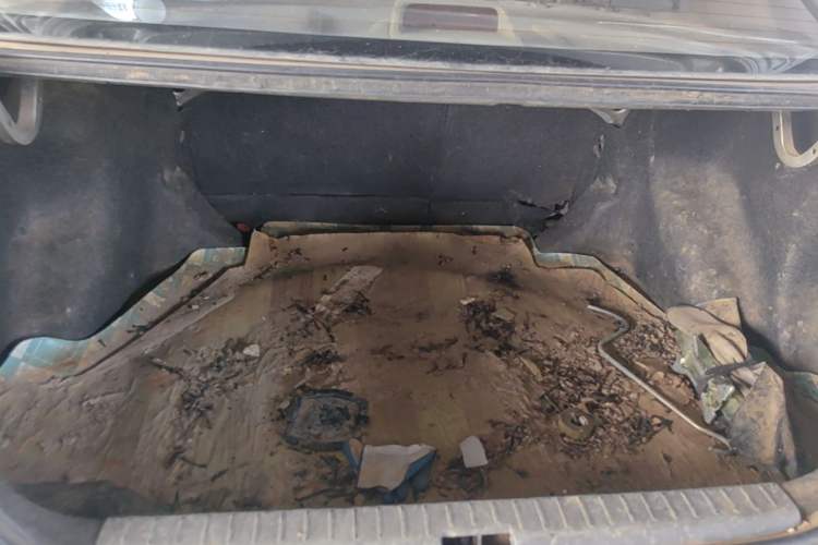 Used Toyota Corolla EX 2004 1.8L Automatic GL-i Trunk