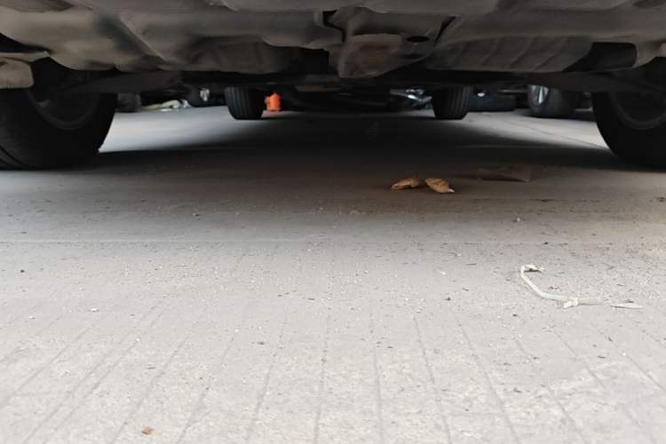 Used Toyota Corolla EX 2009 1.6L Automatic G Special Edition Chassis Front