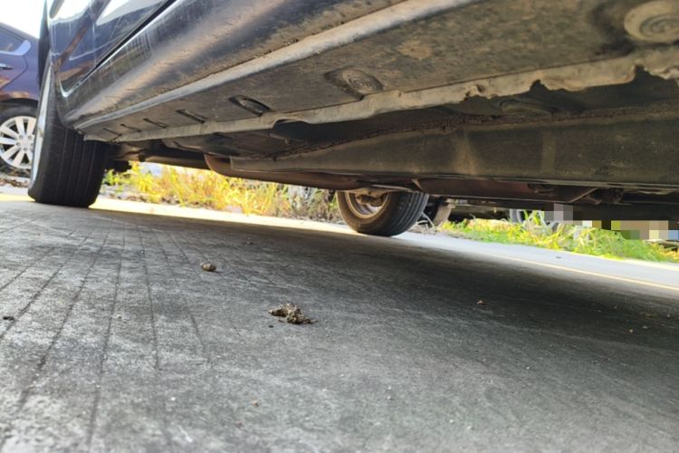 Used Toyota Corolla EX 2011 1.6L Manual Classic Edition Chassis Front Right