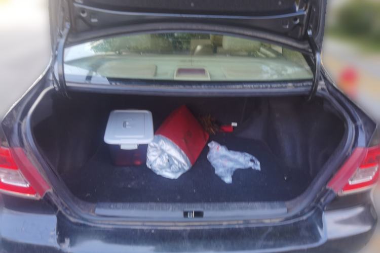 Used Toyota Corolla EX 2011 1.6L Automatic Luxury Edition Trunk