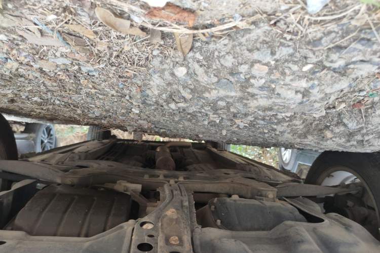 Used Toyota Corolla EX 2011 1.6L Automatic Classic Edition Chassis Front