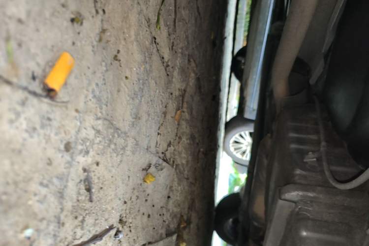 Used Toyota Corolla EX 2011 1.6L Manual Classic Edition Chassis Rear Right