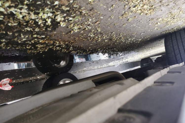 Used Toyota Corolla EX 2011 1.6L Automatic Luxury Edition Chassis Rear Right