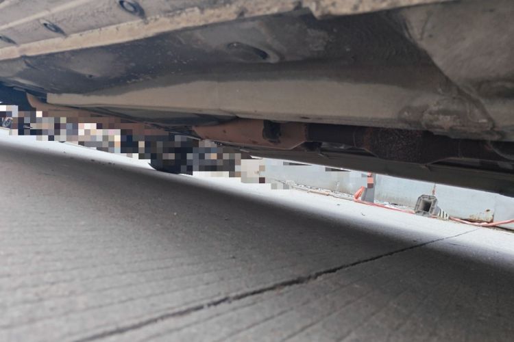 Used Toyota Corolla EX 2013 1.6L Automatic Excellence Edition Chassis Front Right