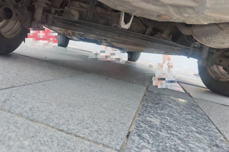 Used Toyota Corolla EX 2013 1.6L Manual Excellence Edition Chassis Rear