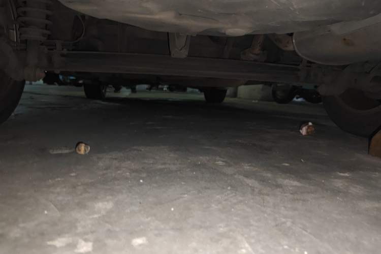 Used Toyota Corolla EX 2013 1.6L Automatic Luxury Edition Chassis Rear