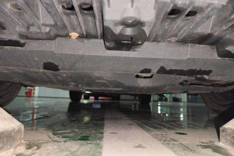 Used Toyota Corolla Hybrid E+ 2019 1.8L E-CVT Luxury Edition Chassis Front
