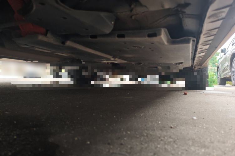 Used Toyota Corolla Hybrid E+ 2019 1.8L E-CVT Luxury Edition Chassis Rear Right