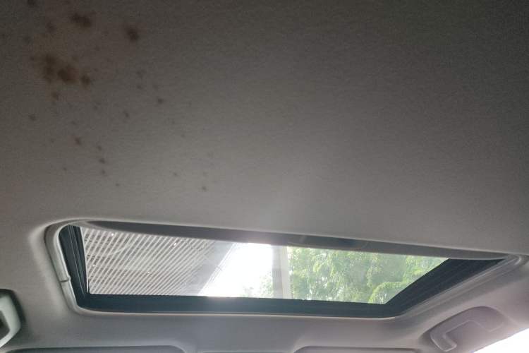 Used Toyota Corolla Hybrid E+ 2019 1.8L E-CVT Leading Edition Headliner