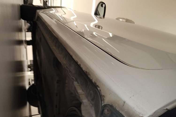 Used Toyota Corolla Hybrid E+ 2019 1.8L E-CVT Leading Edition Left Side Sill