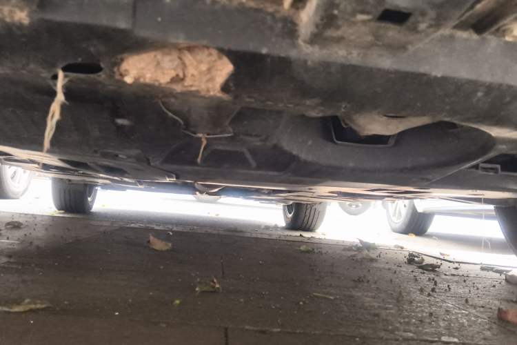 Used Toyota Corolla Hybrid E+ 2020 1.8L E-CVT Comfort Edition Chassis Front