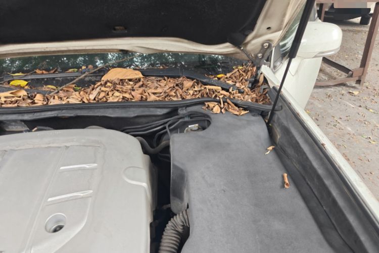 Used Toyota Crown 2010 2.5L Royal Leather Sunroof Edition Engine Bay Left