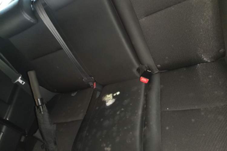 Used Toyota FJ Cruiser 2007 4.0L Left Rear Seat