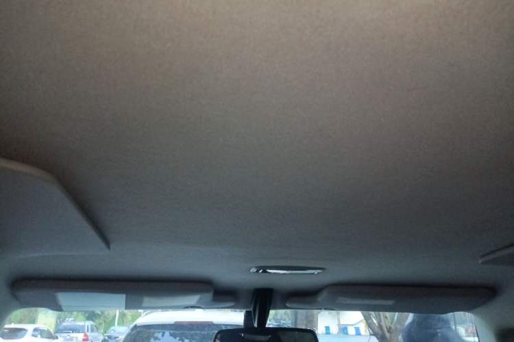 Used Toyota FJ Cruiser 2010 4.0L Headliner